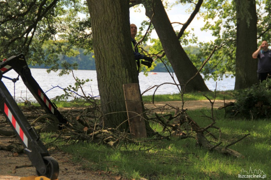 Wycinka suchych gałęzi w parku 31.07.2012