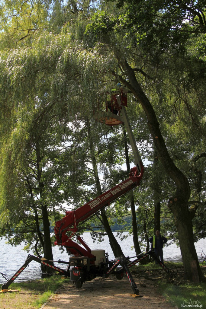 Wycinka suchych gałęzi w parku 31.07.2012