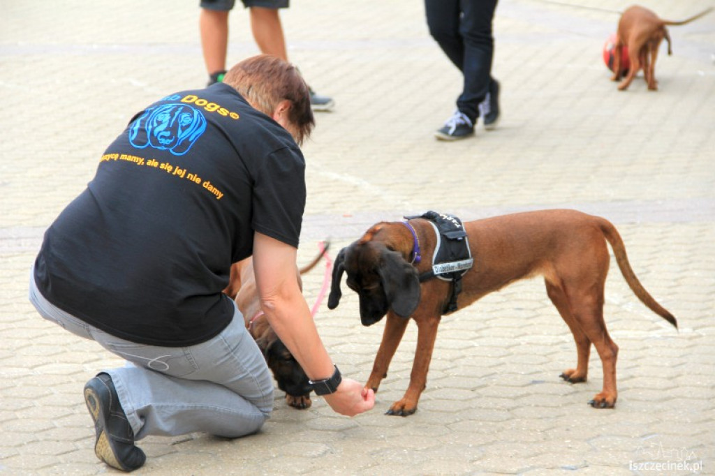 DiabWeek w Szczecinku 31.07.2012