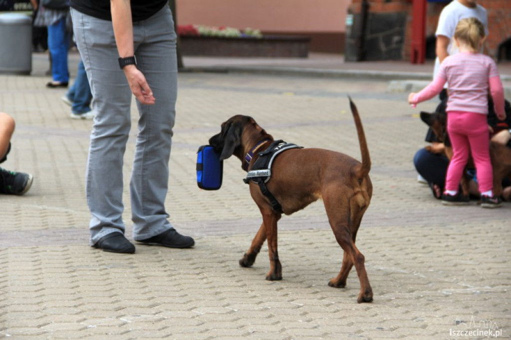 DiabWeek w Szczecinku 31.07.2012