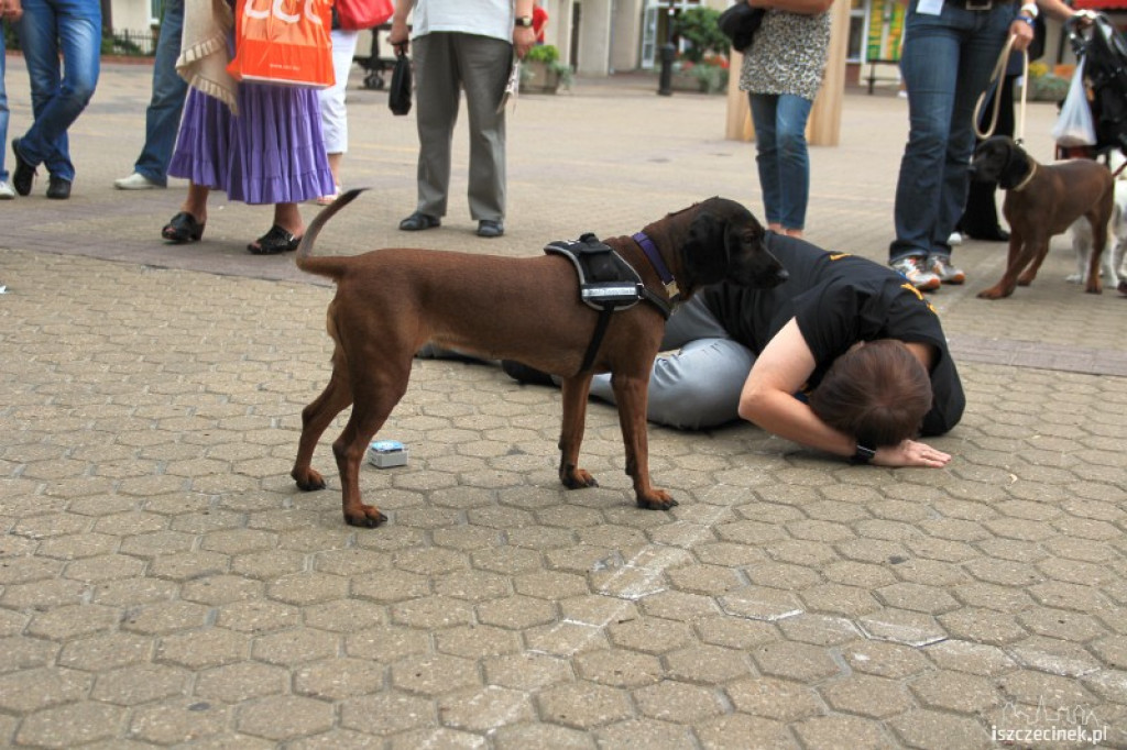 DiabWeek w Szczecinku 31.07.2012