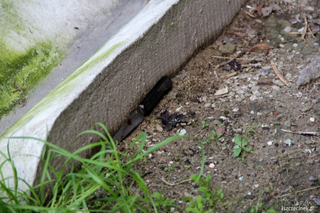 Morderstwo na ul. Zielonej 04.08.2012