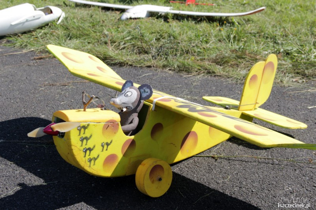 XI Ogólnopolski Piknik Modelarski Wilcze Laski 4-5.08.2012