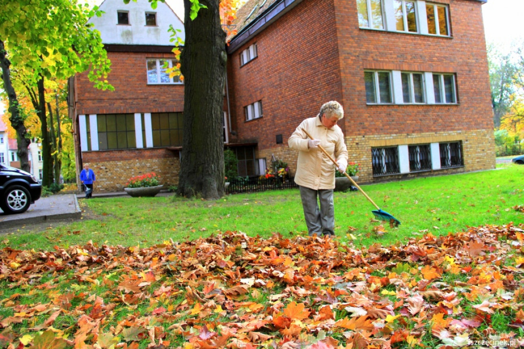 Akcja liść przy kościele 22.10.2012