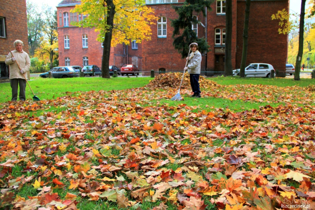 Akcja liść przy kościele 22.10.2012