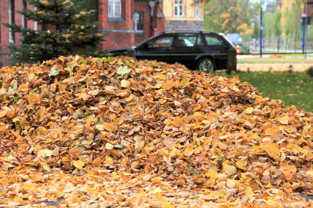 Akcja liść przy kościele 22.10.2012