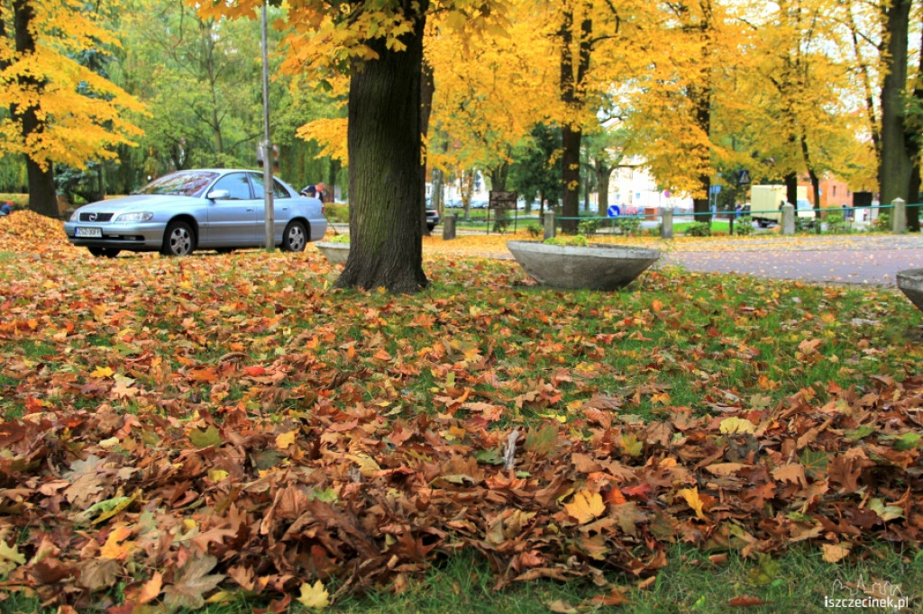 Akcja liść przy kościele 22.10.2012