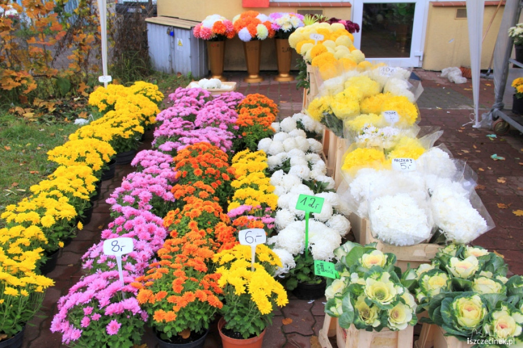 Tydzień przed dniem Wszystkich Świętych 25.10.2012