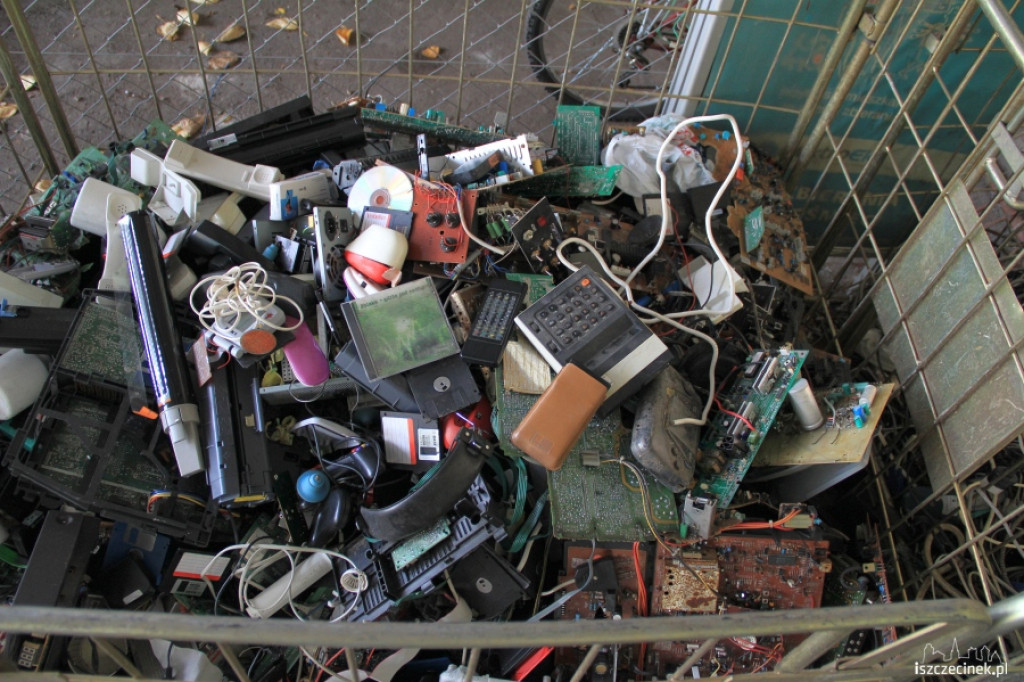 Wymiana elektrośmieci na kwiatki 27.10.2012