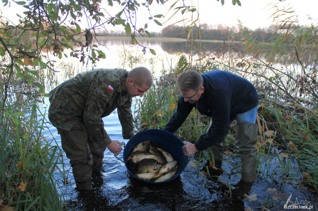 PZW Jesiotr zarybia jez. Lipno 29.10.2012