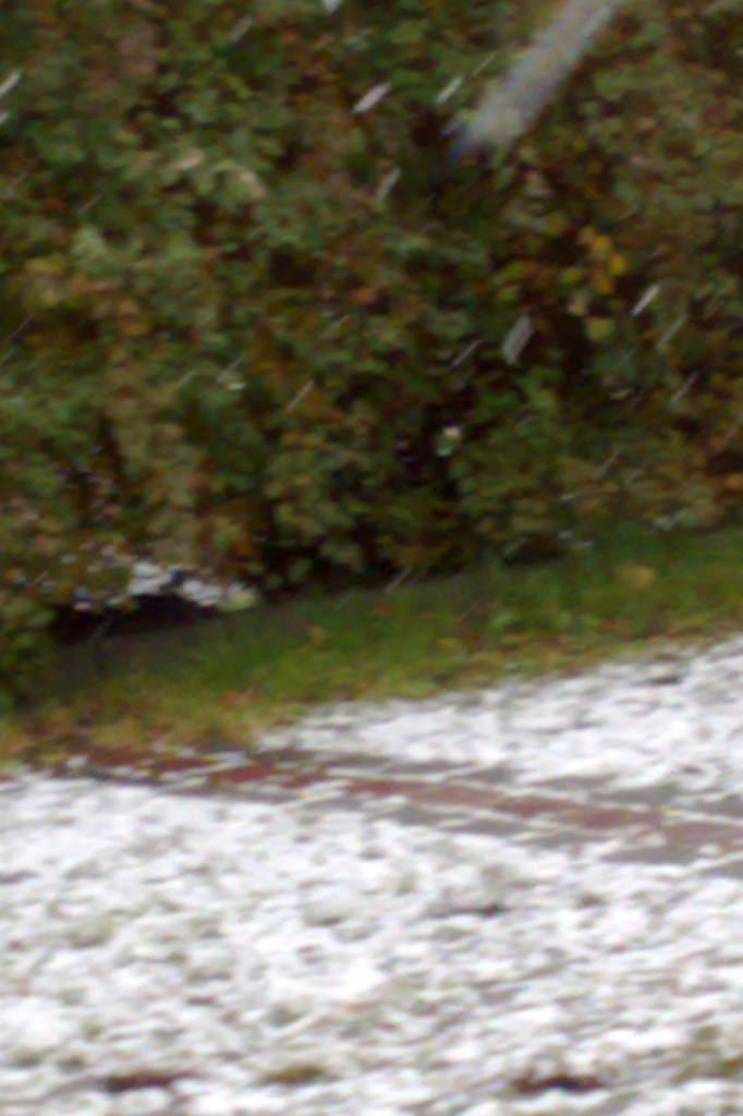 Pierwszy śnieg w Szczecinku w sezonie 2012/2013 fot. Czytelnicy