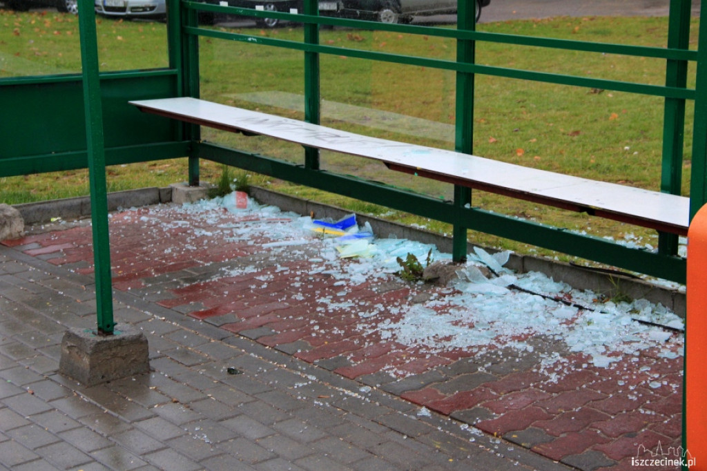 Zdewastowany przystanek 01.11.2012
