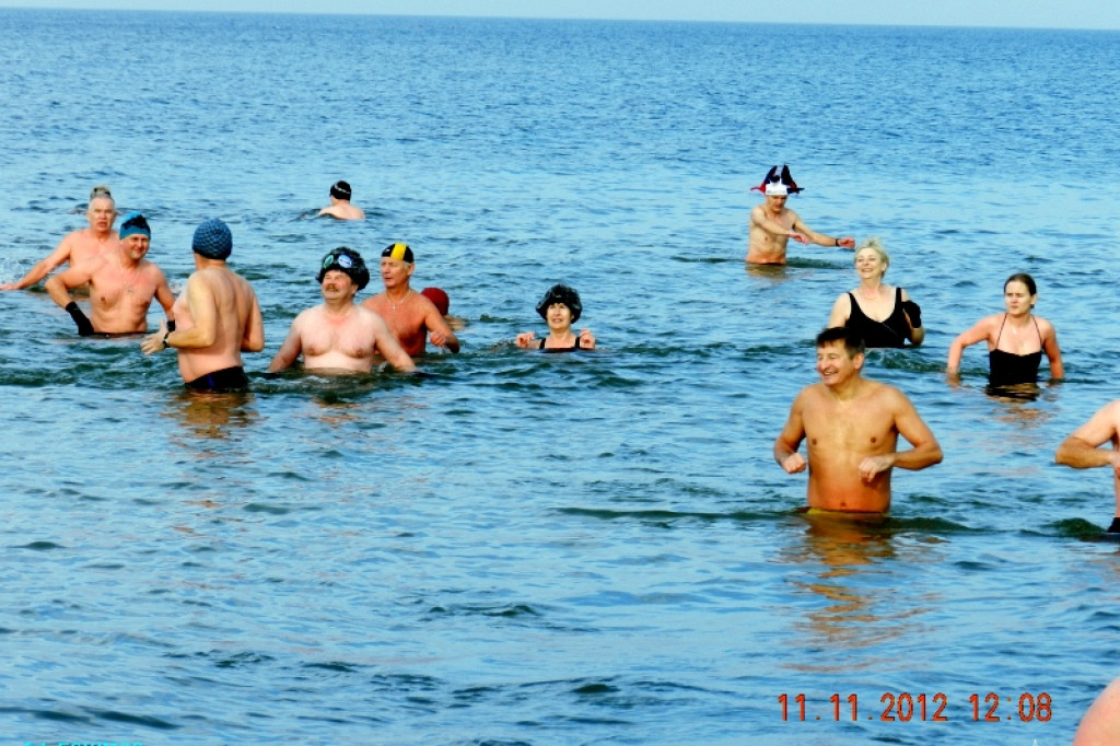Szczecineckie morsy w Bałtyku 11.11.2012