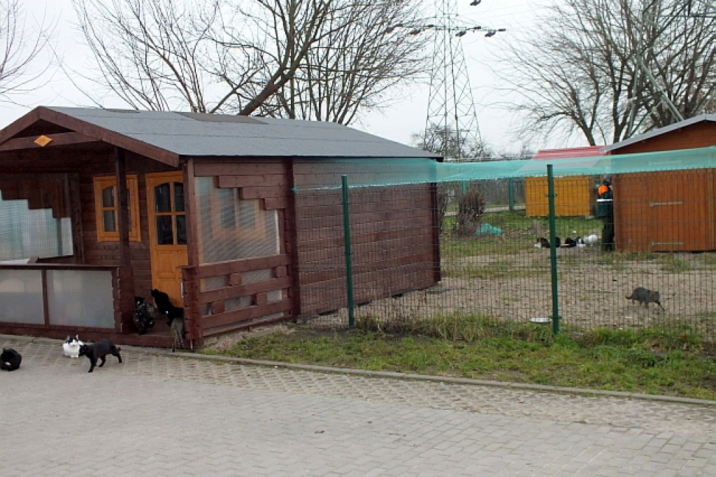 Nowy domek w schronisku dla zwierząt 15.11.2012