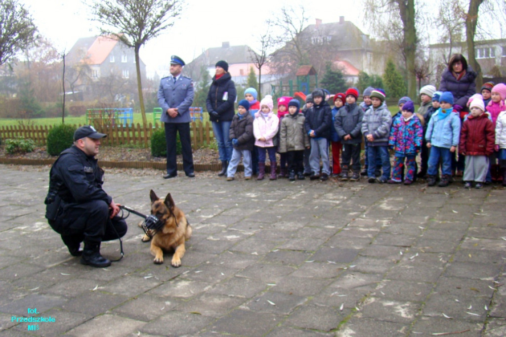 Policjanci o bezpieczeństwie w przedszkolu MIŚ 21.11.2012