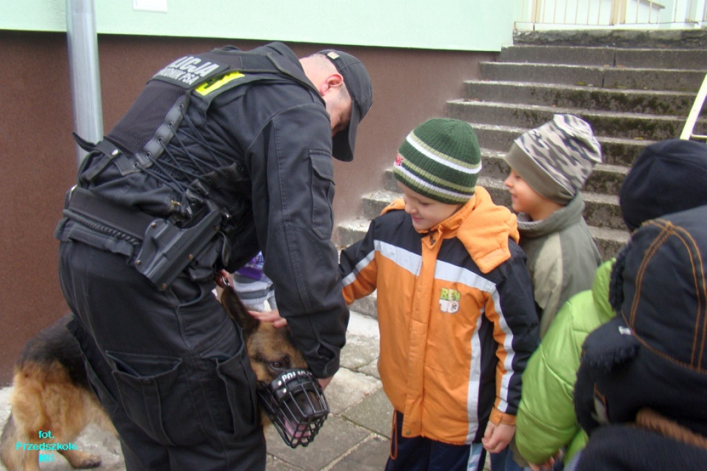 Policjanci o bezpieczeństwie w przedszkolu MIŚ 21.11.2012