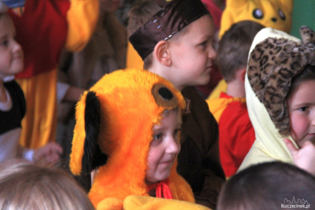 Dzień Pluszowego Misia w przedszkolu MIŚ 23.11.2012