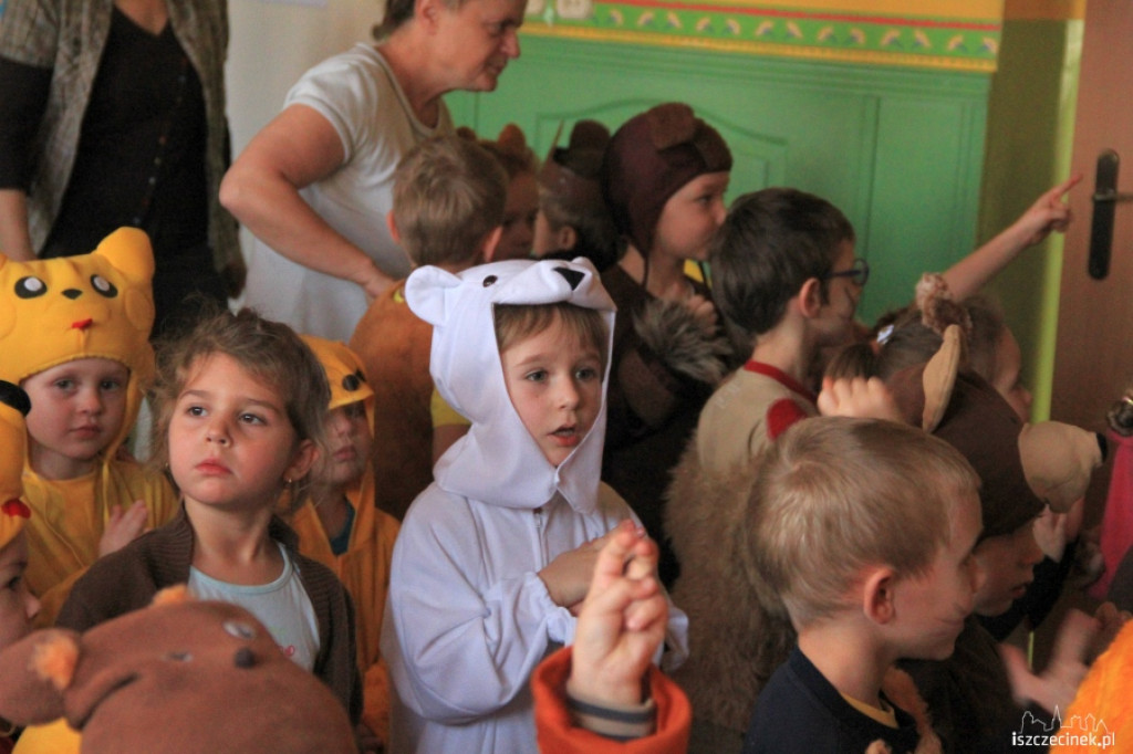 Dzień Pluszowego Misia w przedszkolu MIŚ 23.11.2012