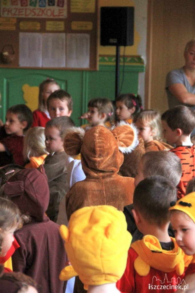 Dzień Pluszowego Misia w przedszkolu MIŚ 23.11.2012