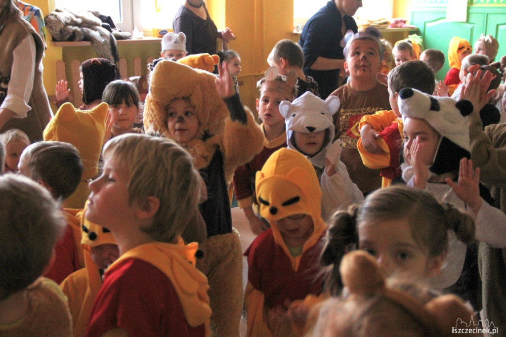 Dzień Pluszowego Misia w przedszkolu MIŚ 23.11.2012