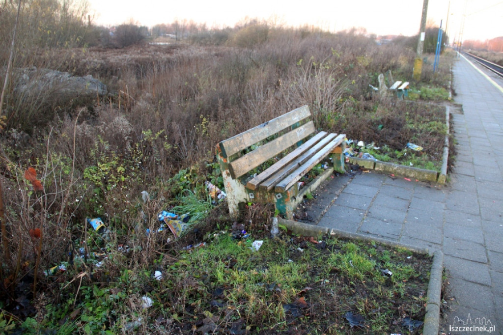 Szczecinek Chyże 26.11.2012