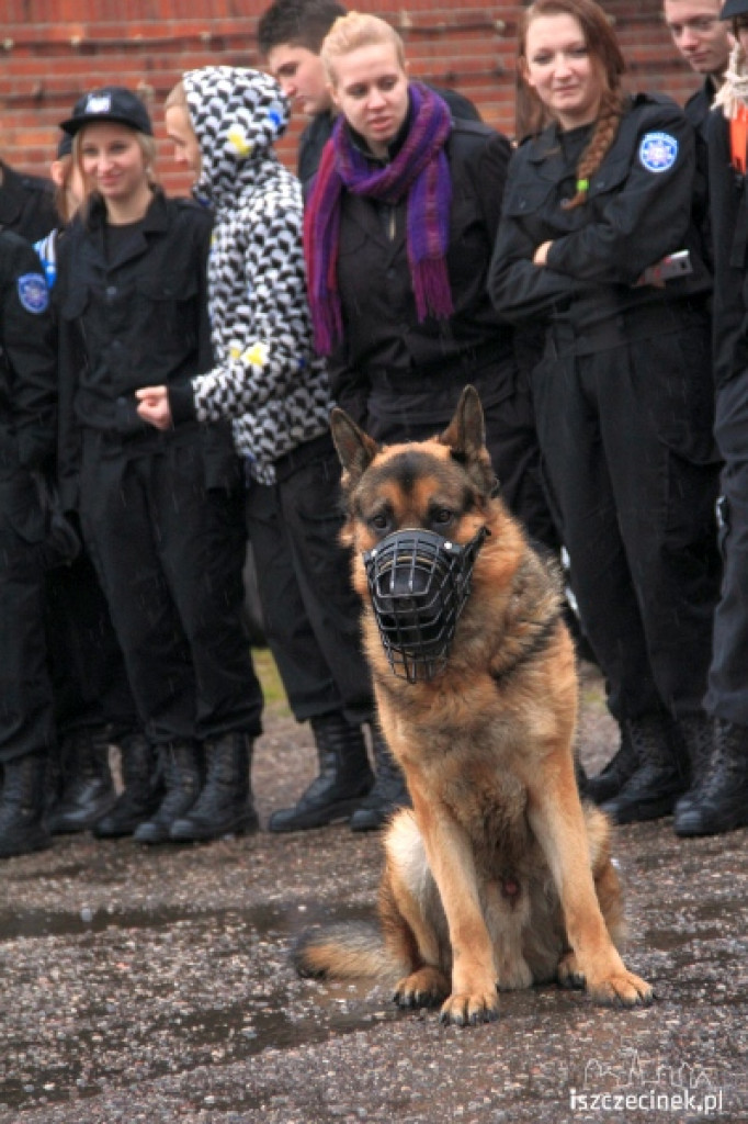 Uczniowie ZS w Białym Borze zwiedzali Komendę Policji w Szczecinku 28.11.2012