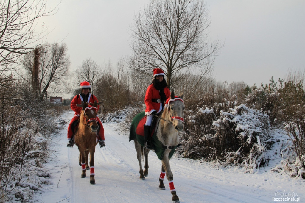 Pracowity dzień Mikołaja w Szczecinku 6.12.2012