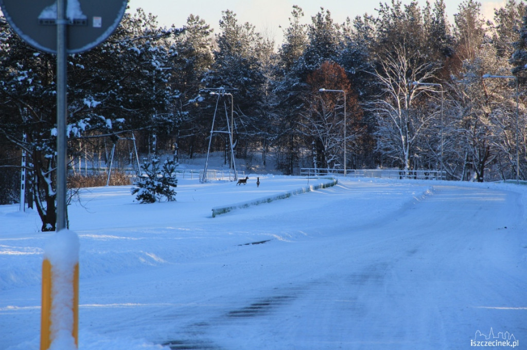 Mała obwodnica Szczecinka przed otwarciem 13.12.2012