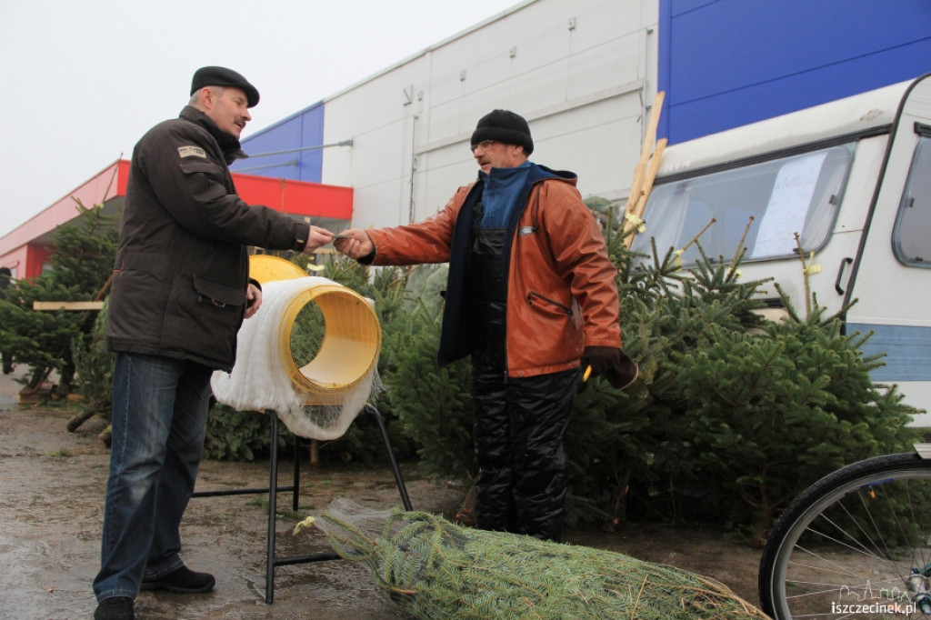 Choinki w sprzedaży 17.12.2012