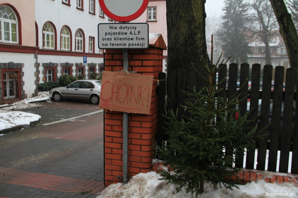 Choinki w sprzedaży 17.12.2012