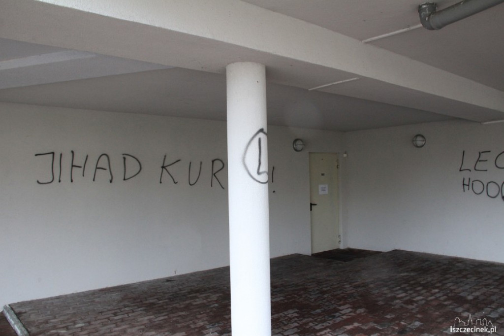Wandale na basenie, stadionie i w parku 02.01.2013