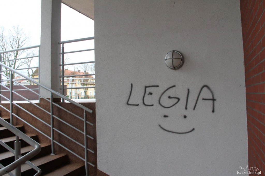Wandale na basenie, stadionie i w parku 02.01.2013