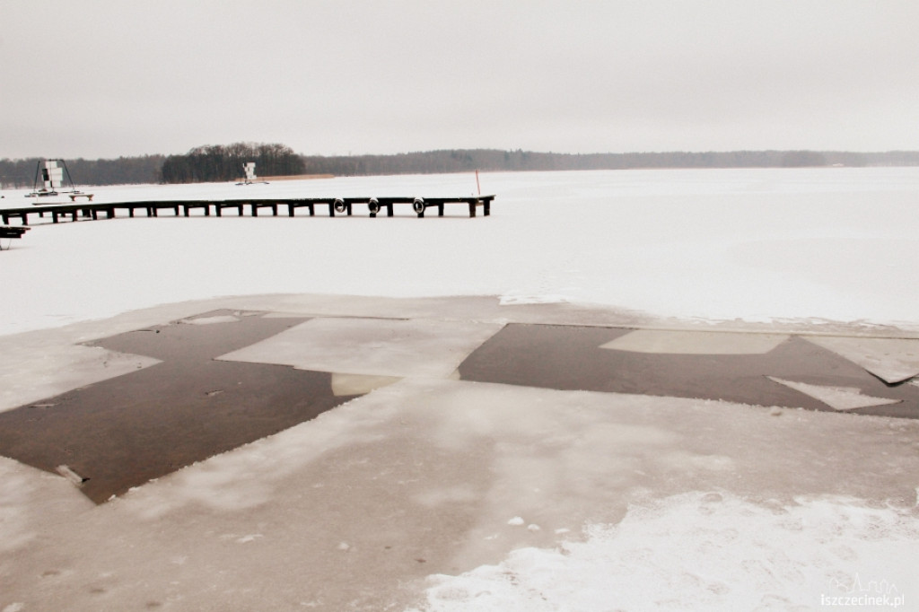 Im zimniej tym lepiej - morsy w wodzie 20.01.2013