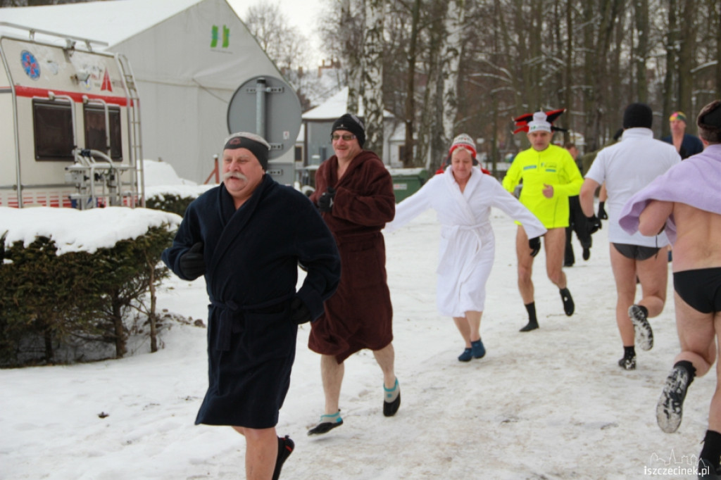 Im zimniej tym lepiej - morsy w wodzie 20.01.2013