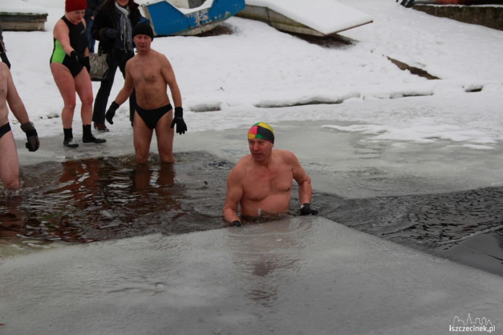 Im zimniej tym lepiej - morsy w wodzie 20.01.2013