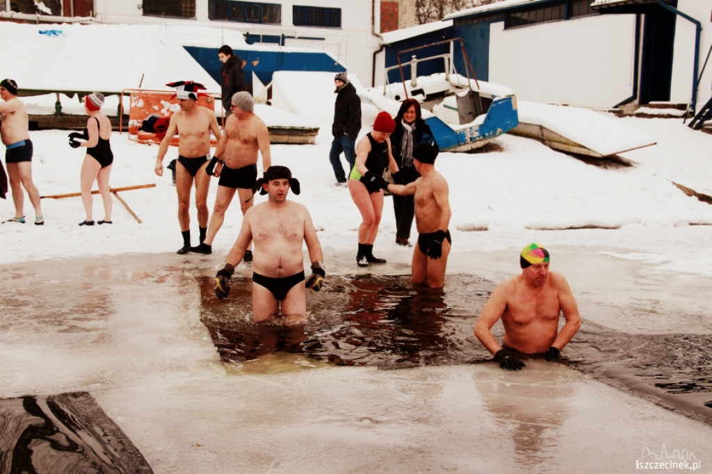Im zimniej tym lepiej - morsy w wodzie 20.01.2013