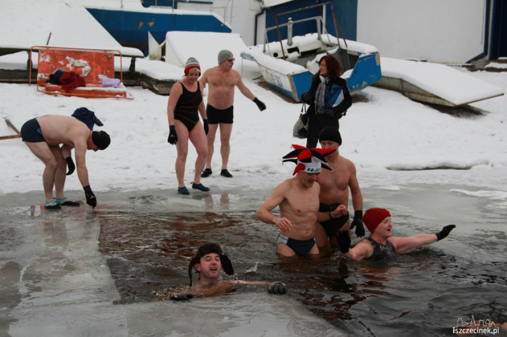 Im zimniej tym lepiej - morsy w wodzie 20.01.2013