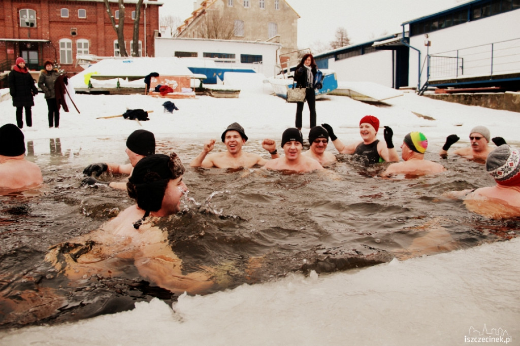 Im zimniej tym lepiej - morsy w wodzie 20.01.2013