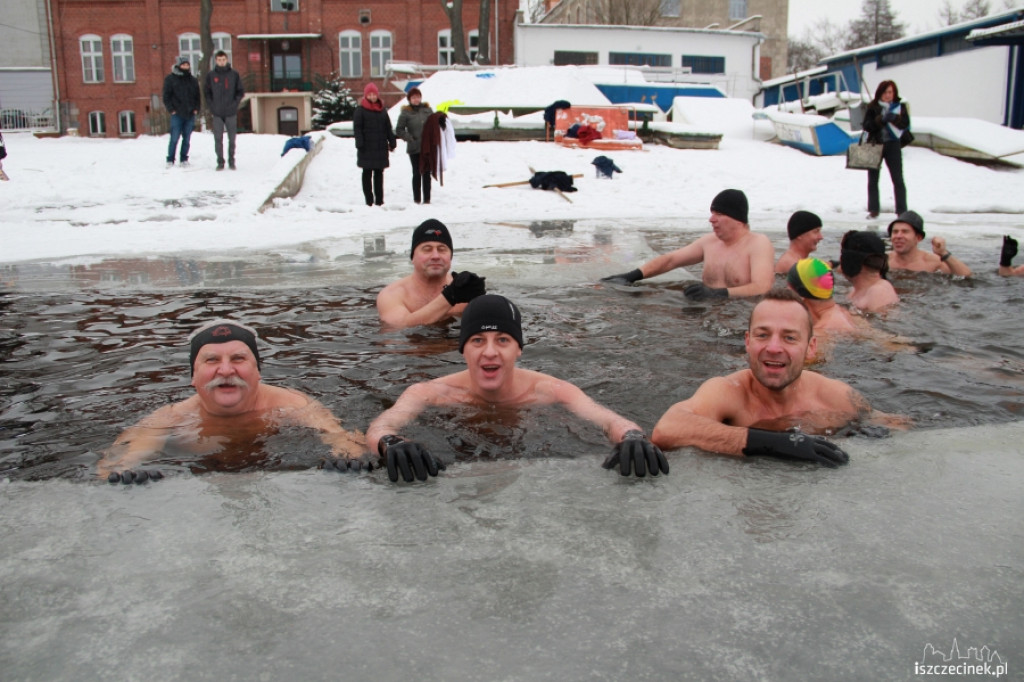 Im zimniej tym lepiej - morsy w wodzie 20.01.2013