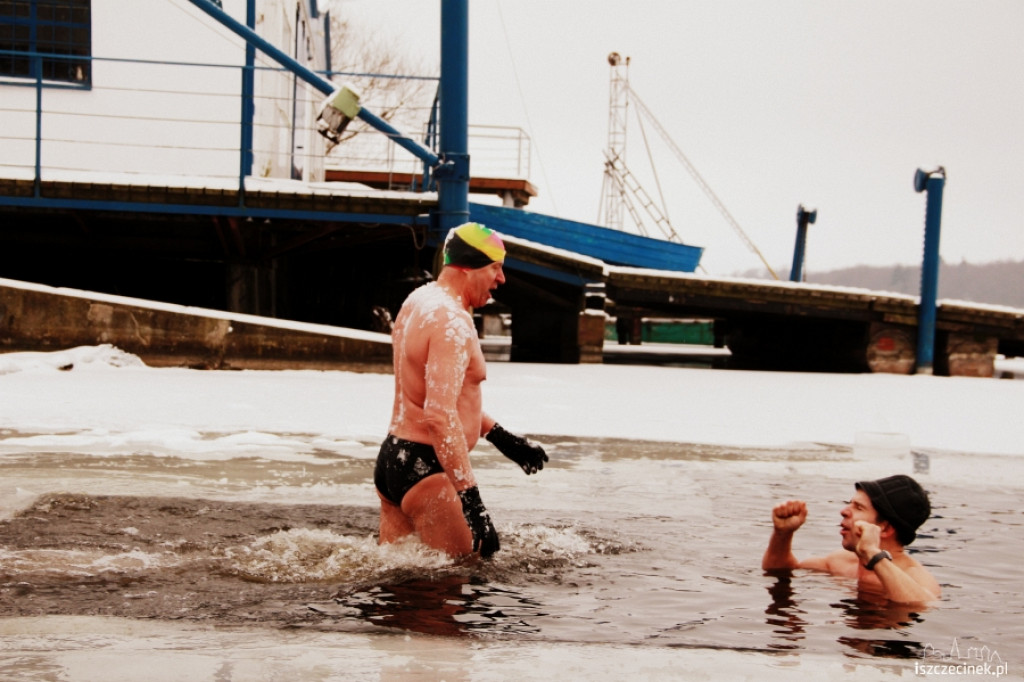 Im zimniej tym lepiej - morsy w wodzie 20.01.2013