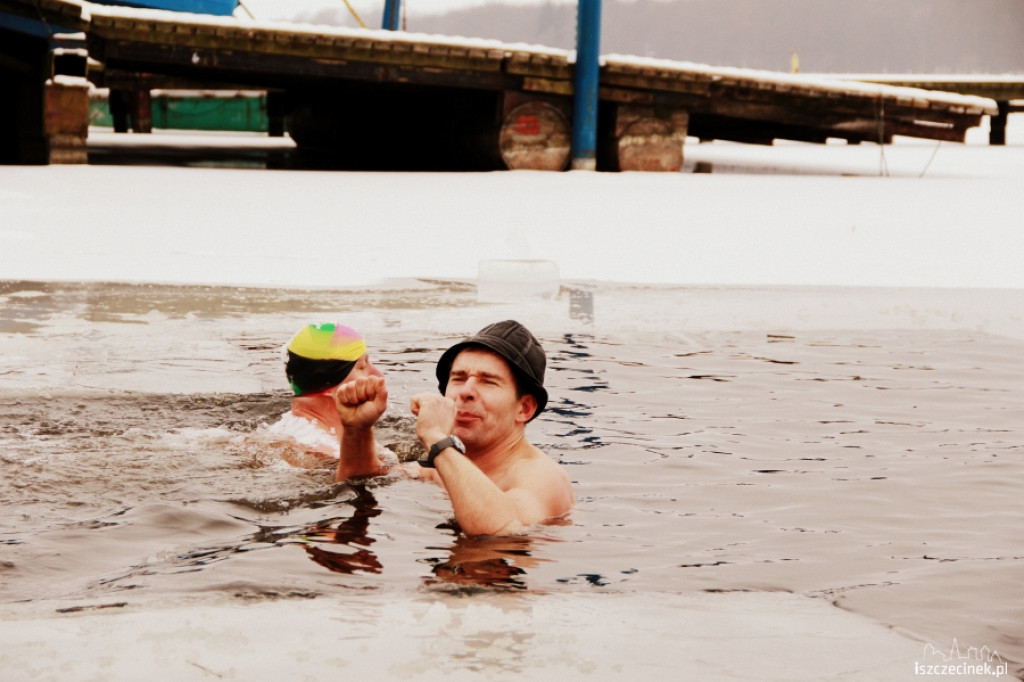 Im zimniej tym lepiej - morsy w wodzie 20.01.2013