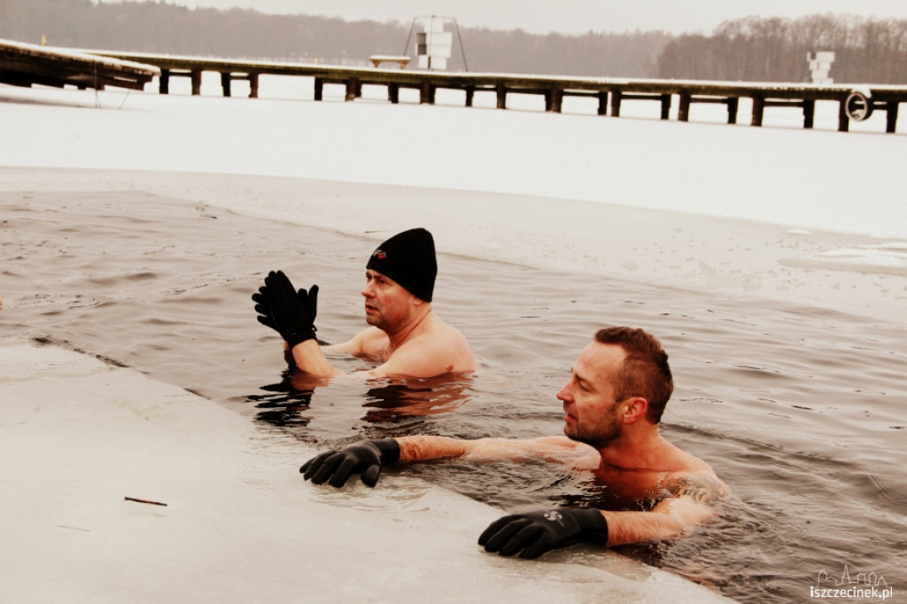 Im zimniej tym lepiej - morsy w wodzie 20.01.2013