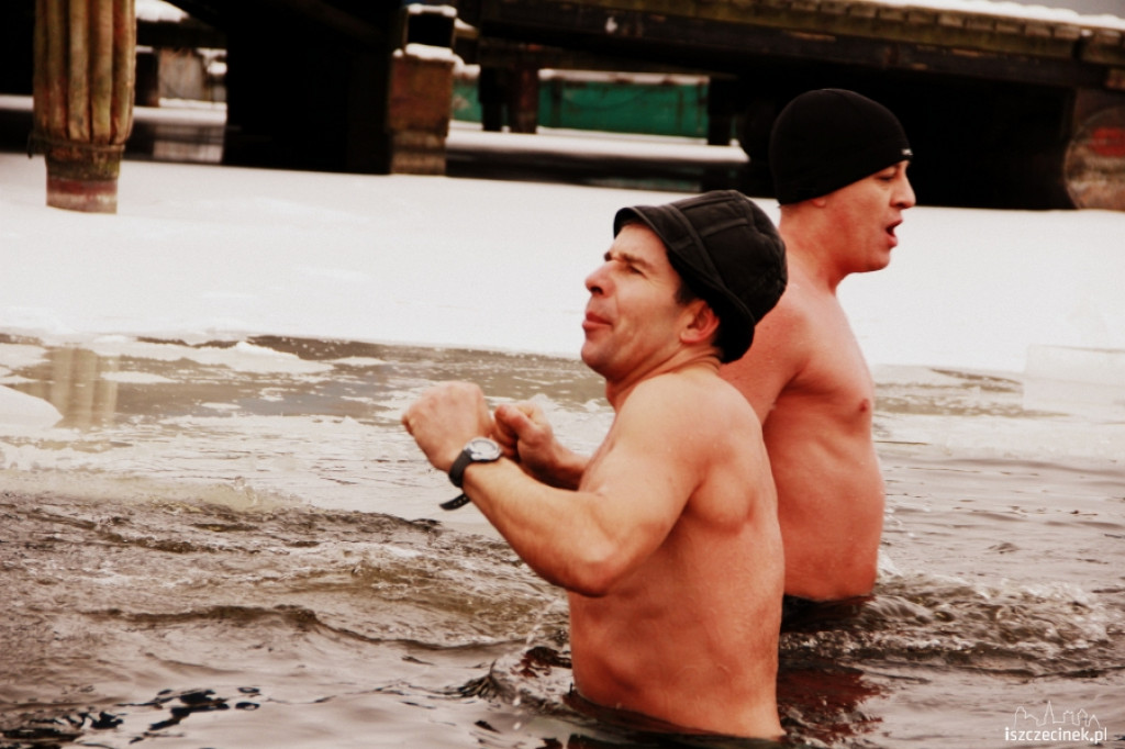 Im zimniej tym lepiej - morsy w wodzie 20.01.2013