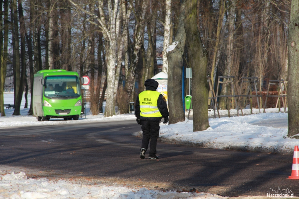 Wycinka drzew przy ul. Piłsudskiego 21.01.2013