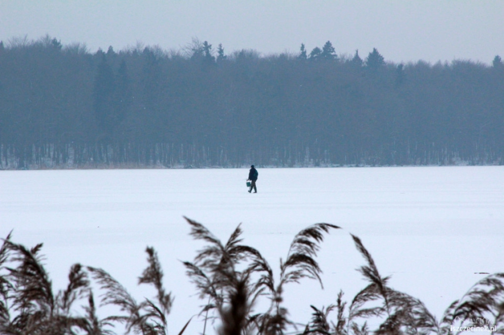 Wędkarze na lodzie