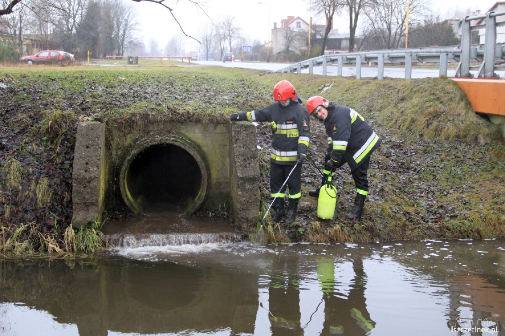 Plama oleju na Niezdobnej
