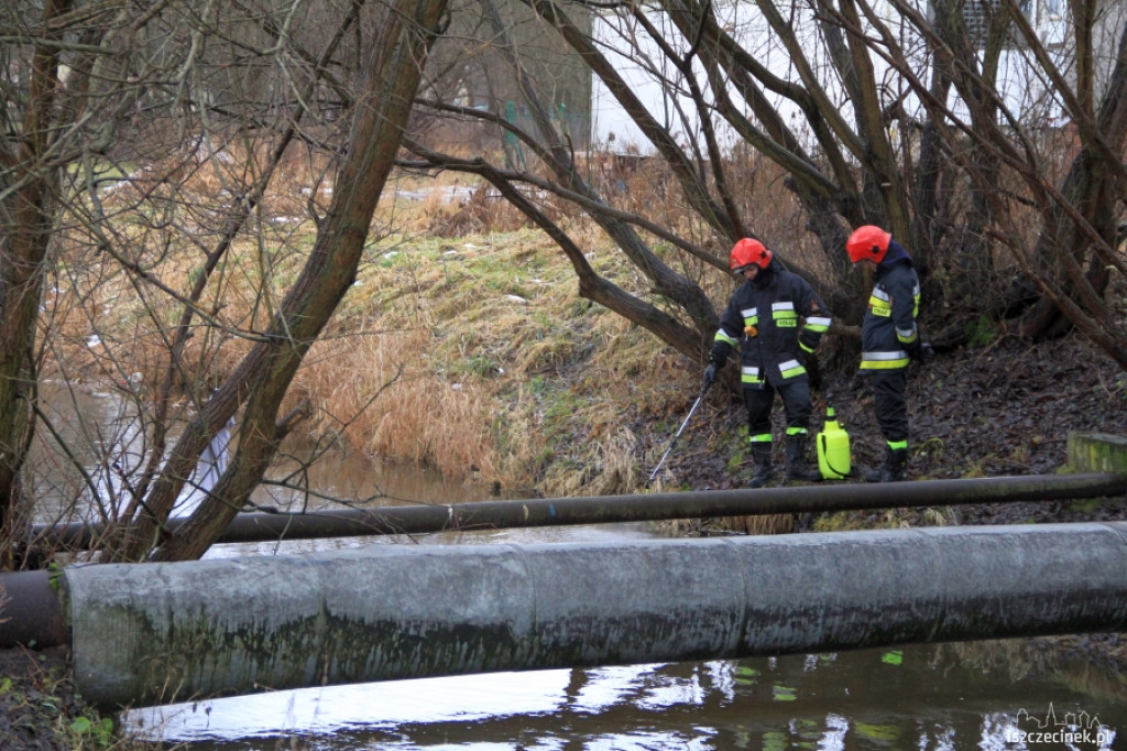 Plama oleju na Niezdobnej