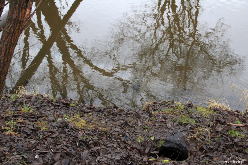 Plama oleju na Niezdobnej