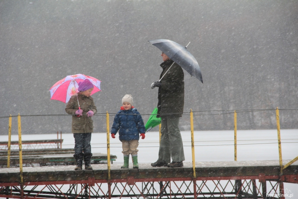 IV Zimowe zanurzenie w wodzie w Białym Borze
