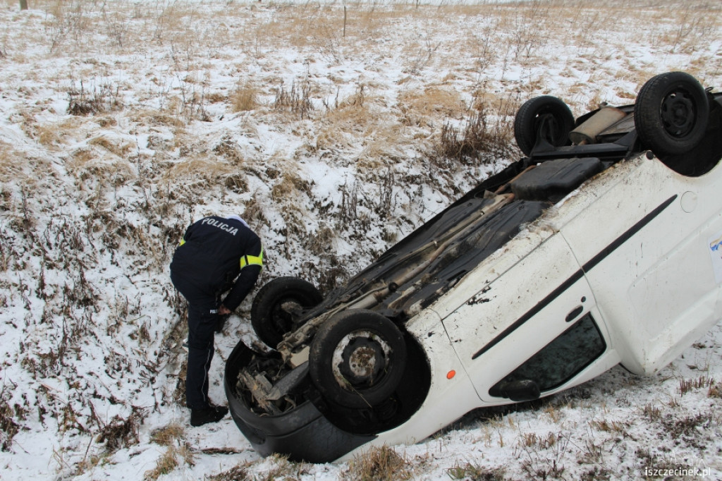 Dachowanie koło Bacówki